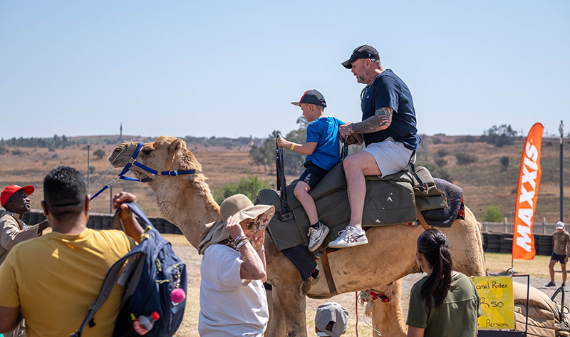 Camel Rides